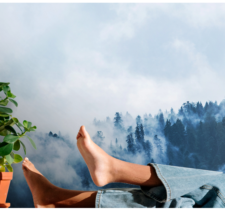 Blue foggy forest nature wall mural - TenStickers