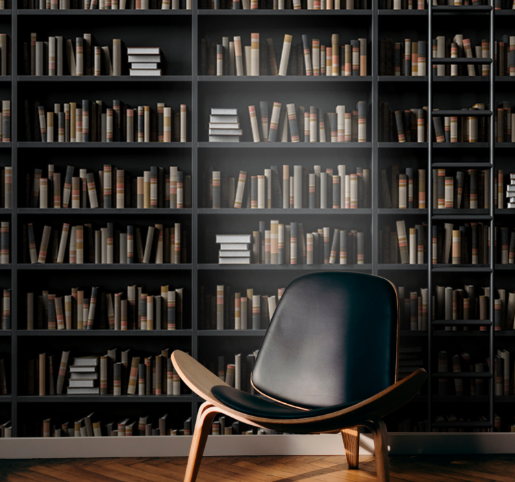 Bookshelves optical illusion 3D Wall Mural - TenStickers