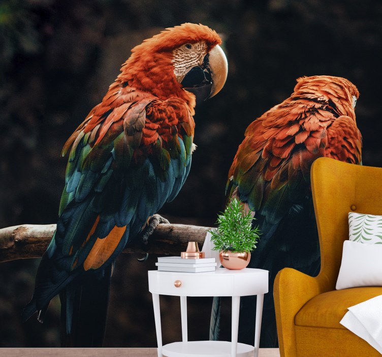 Colorful Parrots Together animal wall mural - TenStickers