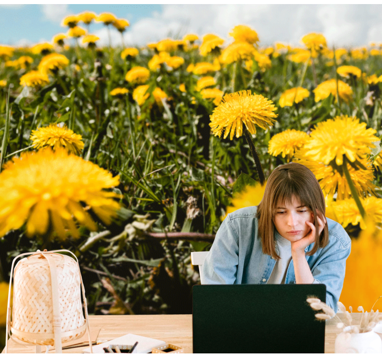 Dandelion mural dandelion field perspective - TenStickers