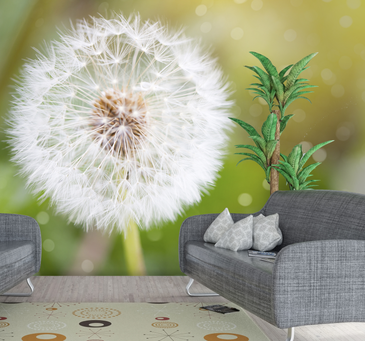 Dandelion Wall Mural for you - TenStickers