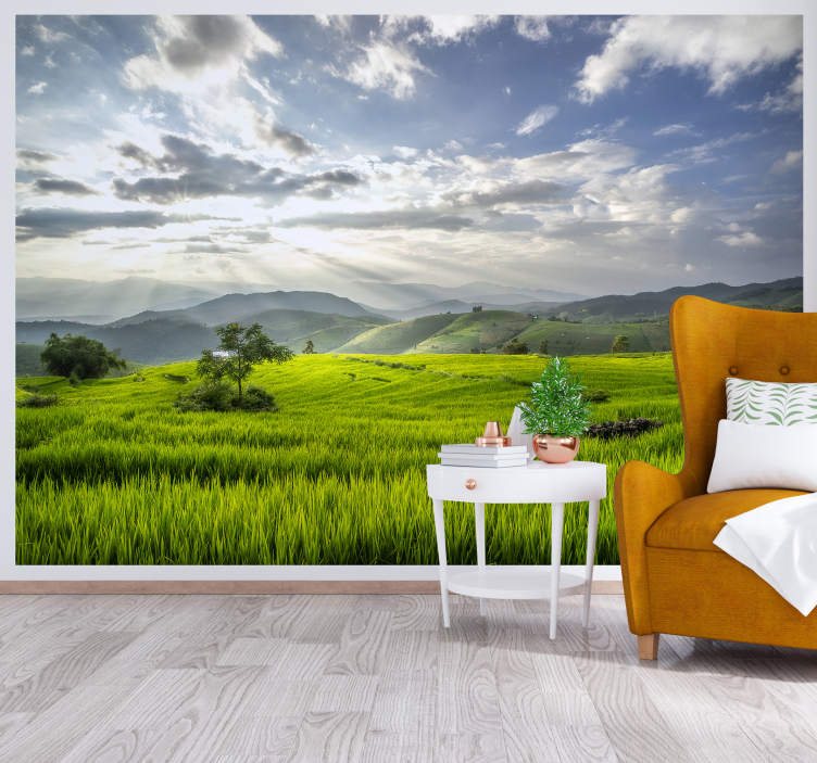Dawn on the fields mountain wall mural - TenStickers