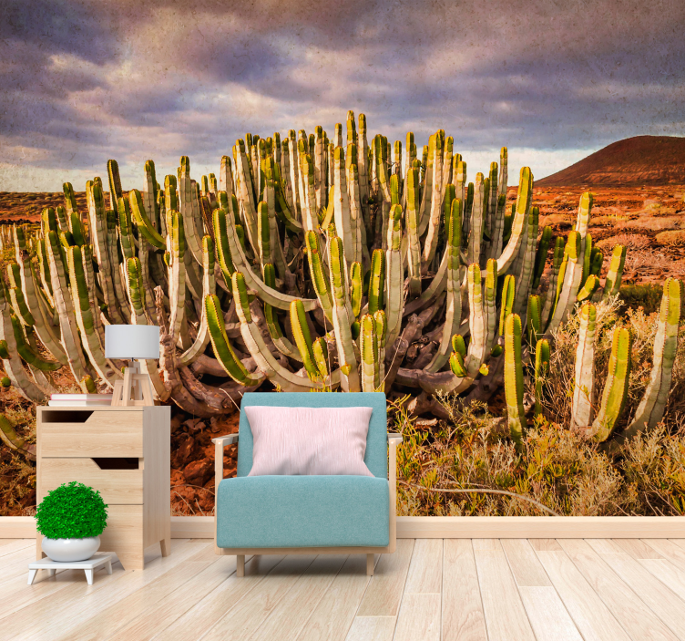 Desert aesthetic Desert Wall Mural - TenStickers