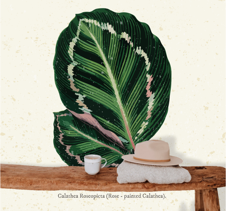 Flower mural calathea leaf arrangement - TenStickers