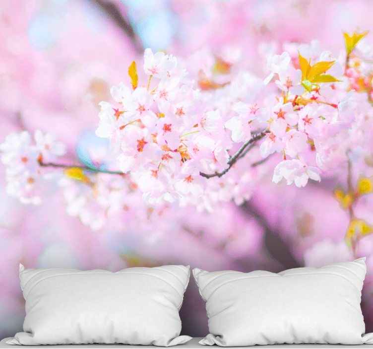 Flower mural cherry blossom beauty - TenStickers