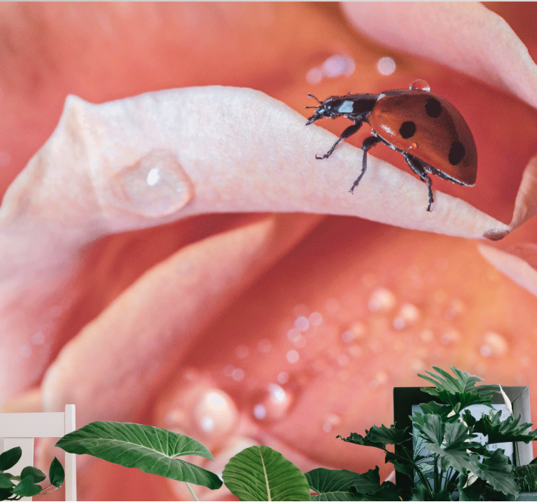 Flower mural ladybug on petal - TenStickers