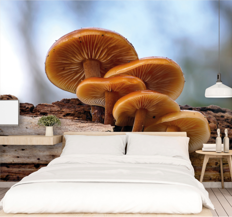 Flower mural mushroom cluster art decor - TenStickers