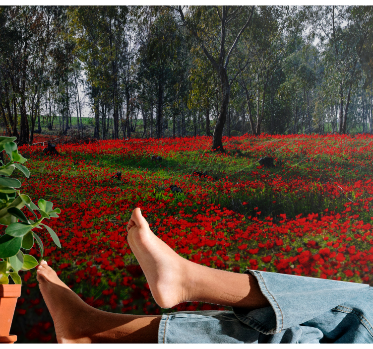 Flower mural poppy field calm - TenStickers