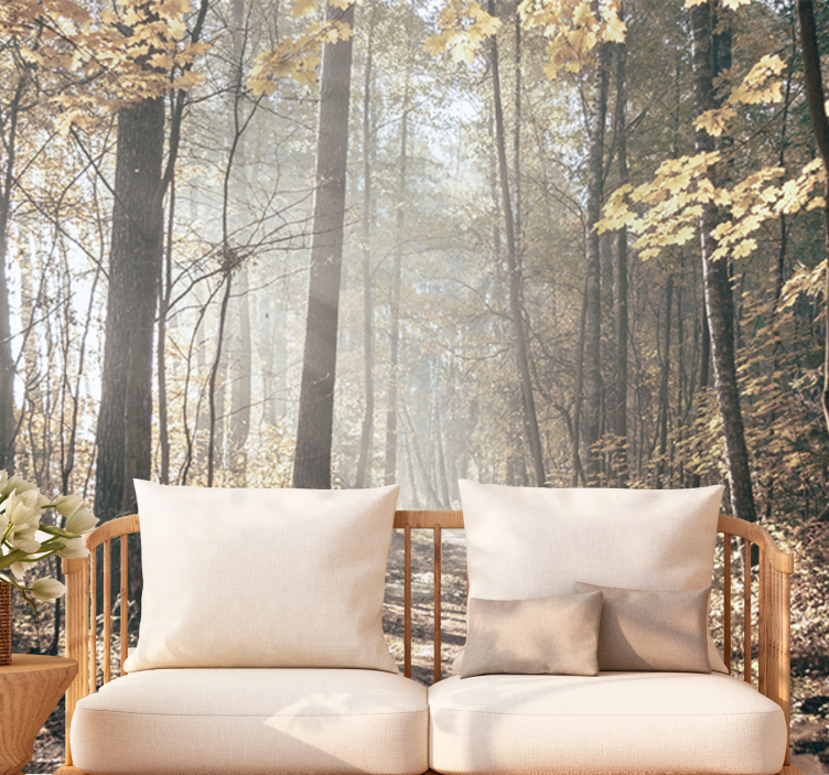 Forest wall mural serene autumn path - TenStickers