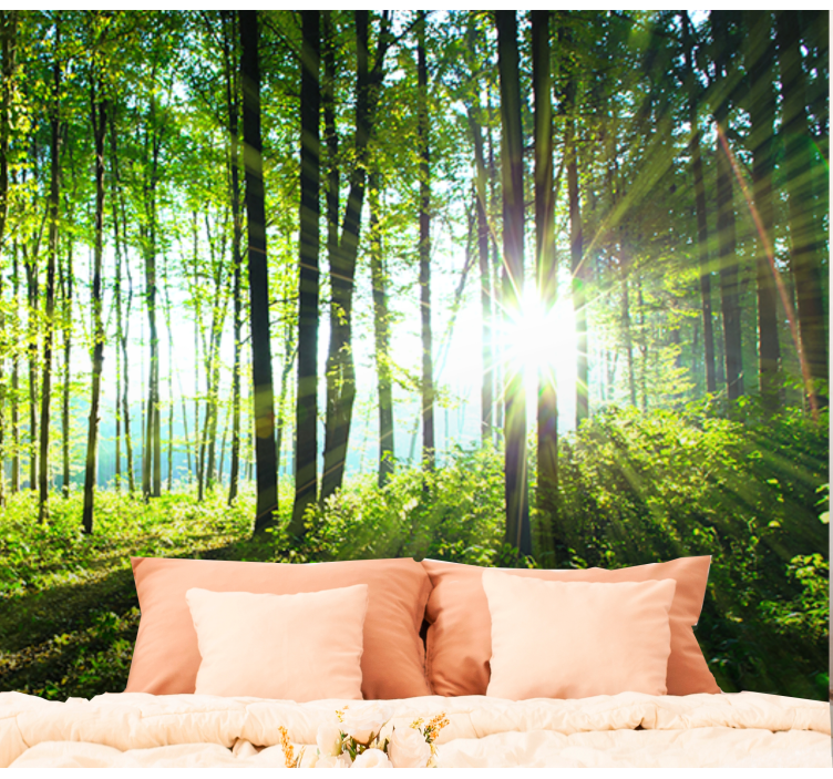 Forest wall mural sunlit woodland scene - TenStickers