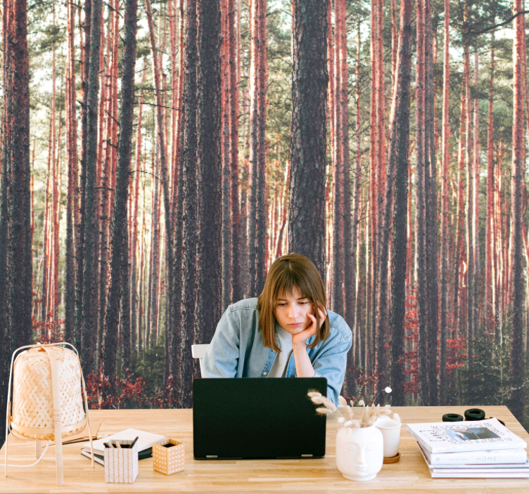 Forest wall mural tranquil pine woods - TenStickers