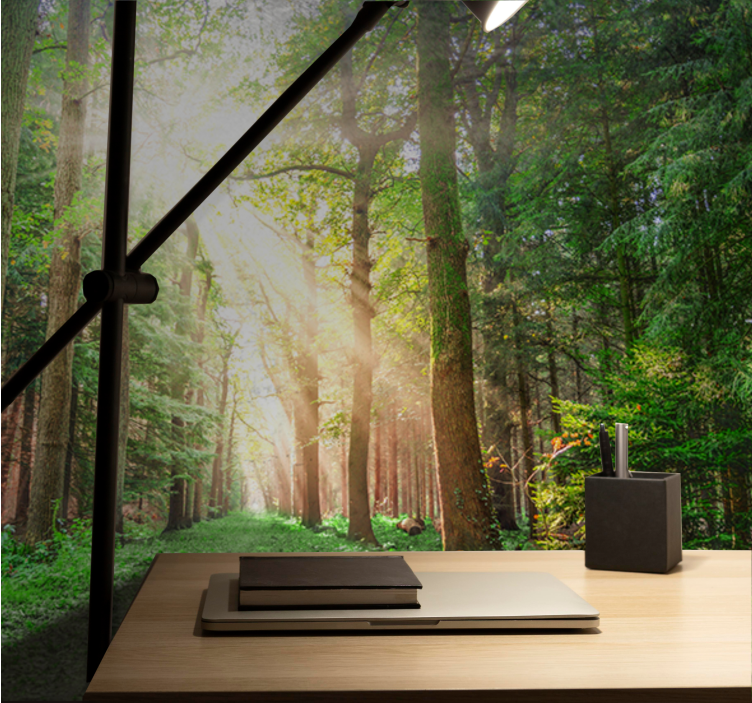 Forest wall mural tranquil woodland path - TenStickers