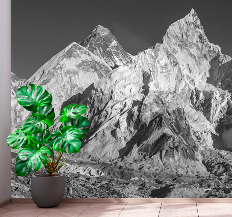 Black and white Mountain wall mural - TenStickers