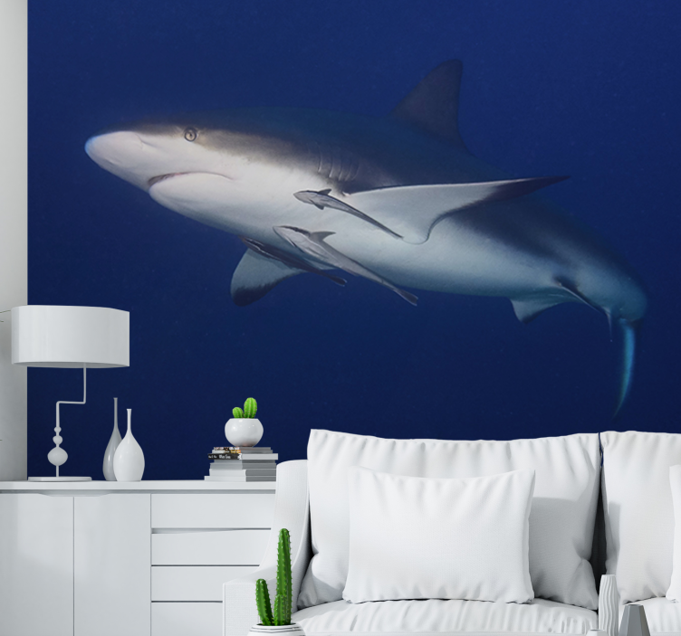 Great white shark underwater wall mural - TenStickers
