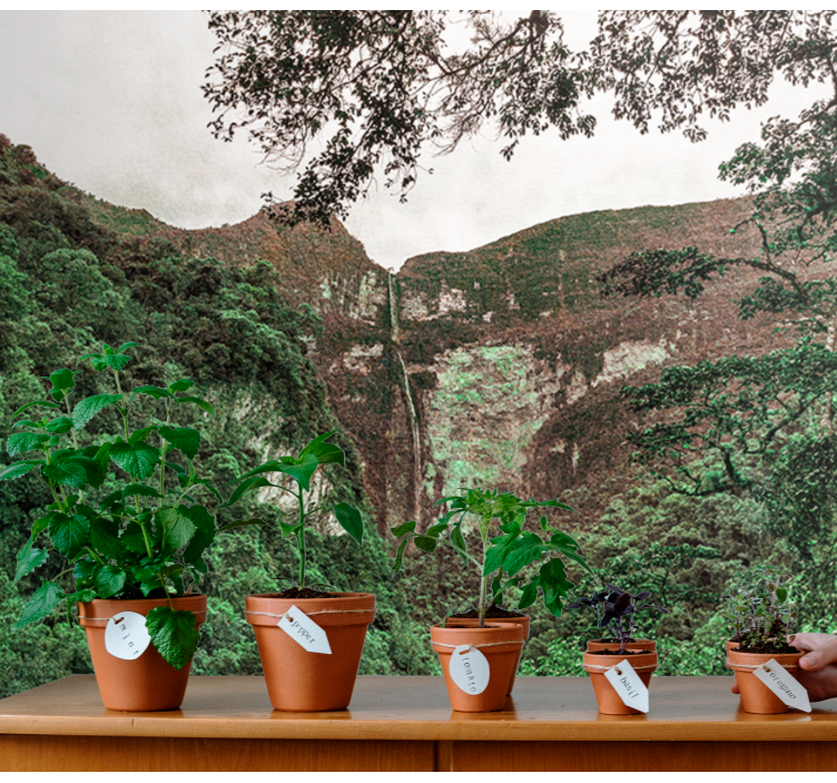 Green Gocta Falls nature wall mural - TenStickers