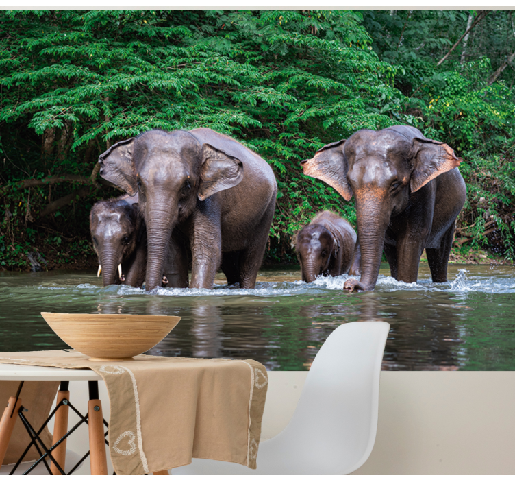 Jungle with elephants  wall mural - TenStickers