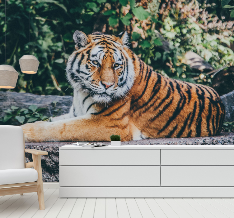 Majestic Tiger Stare animal wall mural - TenStickers