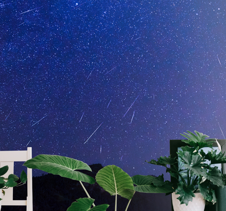 Mountain wall mural celestial comets night - TenStickers