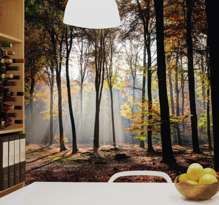 Nature wall mural autumn forest rays - TenStickers