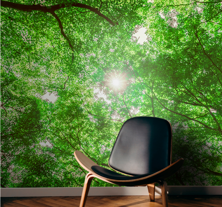 Nature wall mural canopy tree perspective - TenStickers