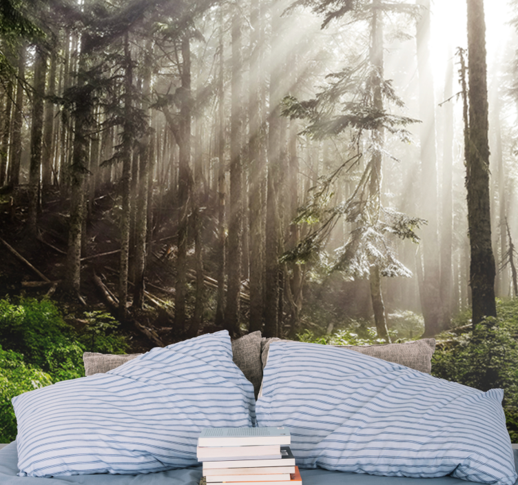 Nature wall mural foggy forest view - TenStickers