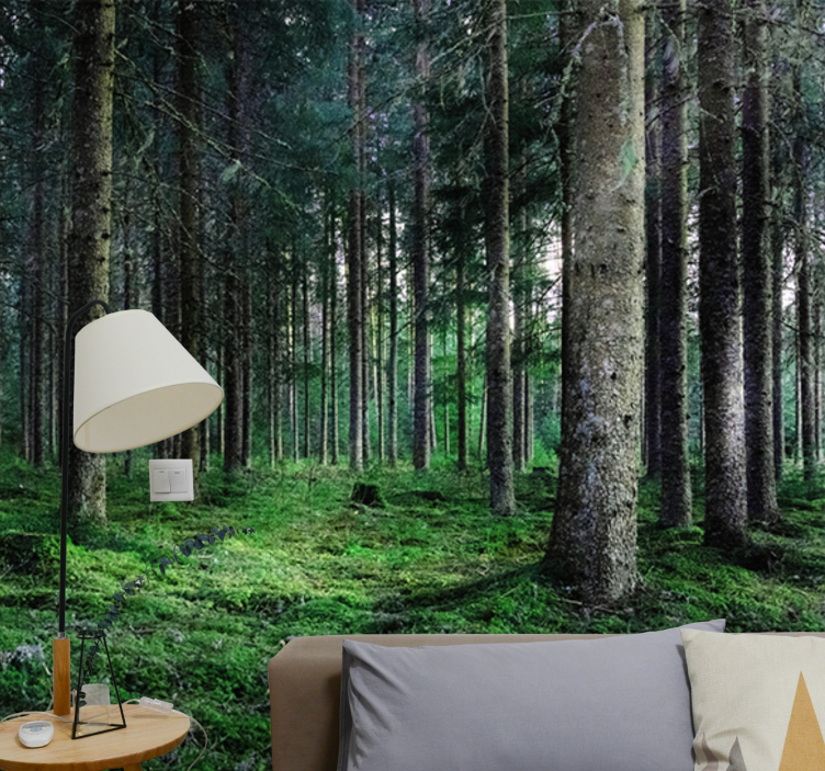 Nature wall mural lush forest path - TenStickers