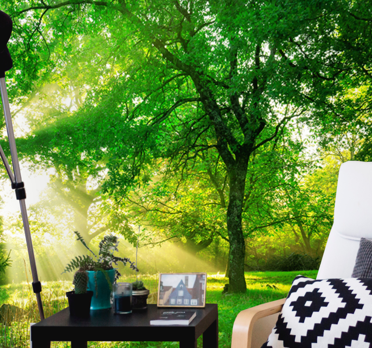 Nature wall mural sunlit greenery scene - TenStickers