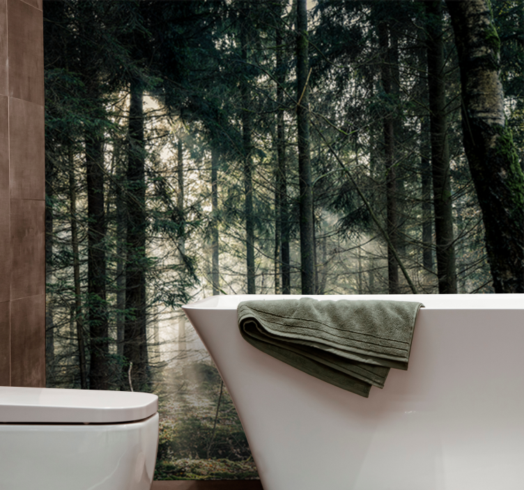 Nature wall mural tranquil woodland scene - TenStickers