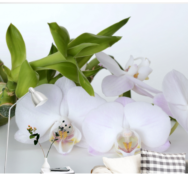 Orchid mural elegant orchid display - TenStickers
