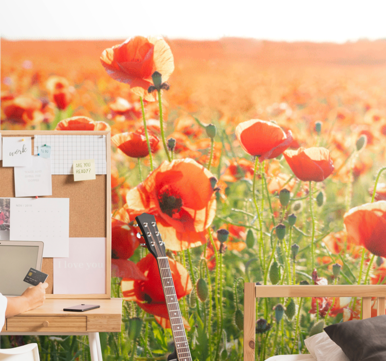 Poppy wall mural sunlit poppy fields - TenStickers