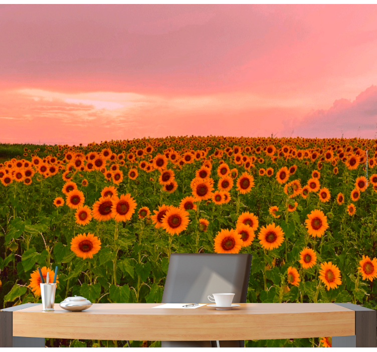 Sunflower field colourful sky wall mural - TenStickers