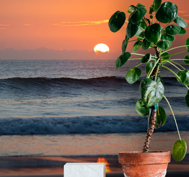 Sunset Ocean Horizon sea mural - TenStickers