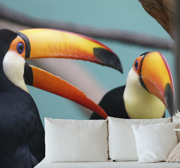 Toucan Bird Pair animal wall mural - TenStickers