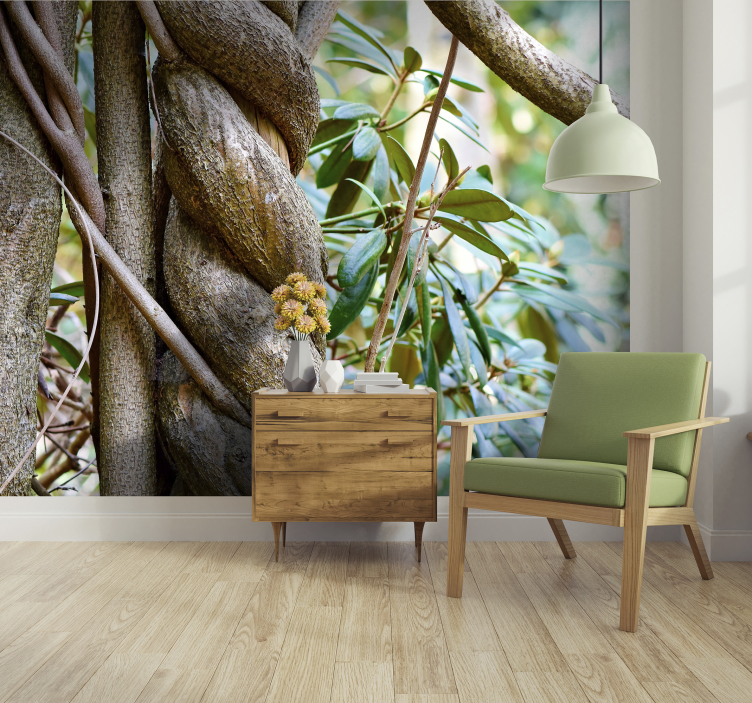 Twisted trees forest wall mural - TenStickers