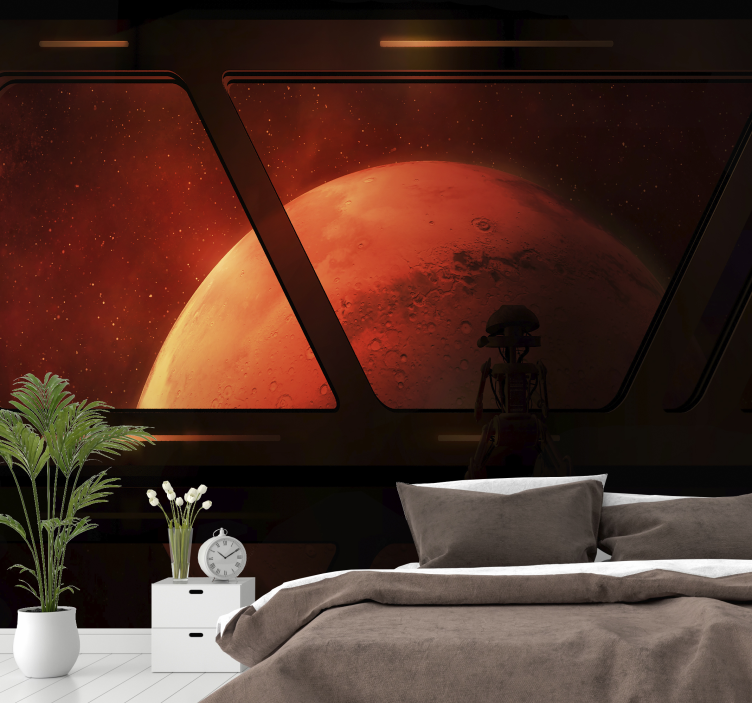 View from Mars space wall mural - TenStickers