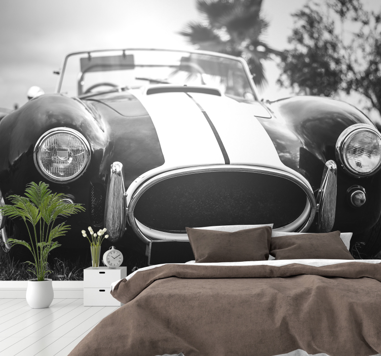 Vintage race Car Photo Wallpaper - TenStickers