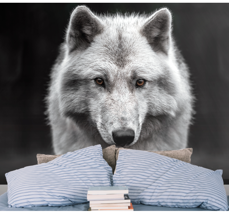 White wolf wall photo mural - TenStickers