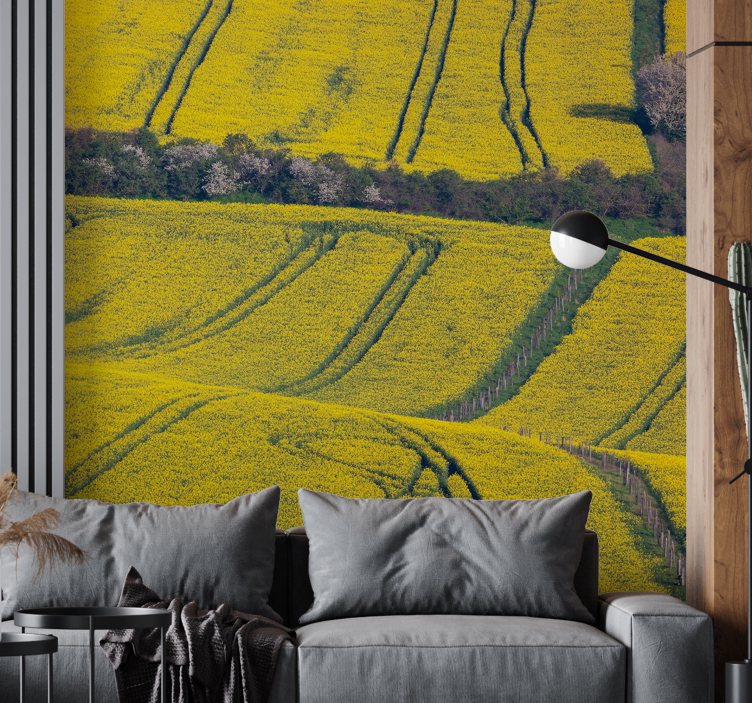 Yellow cole fields nature wall mural - TenStickers