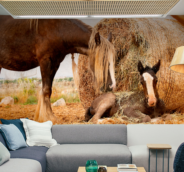 young horse with wheet nature wall mural - TenStickers