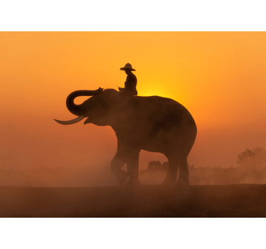 Silhouetted Elephant animal wall mural - TenStickers