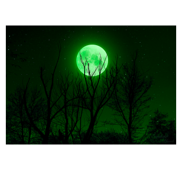 Green Moon landscape wall mural - TenStickers