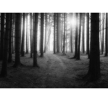 Grey forest wall mural - TenStickers
