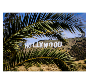 Hollywood Sign and Tree mural wallpaper - TenStickers