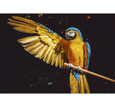 tropical bird mural wallpaper - TenStickers