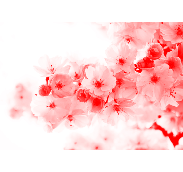 Abstract Flower Tree zen wallpaper - TenStickers
