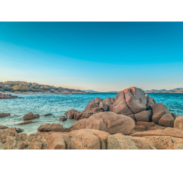 beach and sea background in Italy wall mural - TenStickers