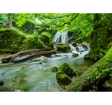 Forest with waterfall and river 3d mural wallpaper - TenStickers