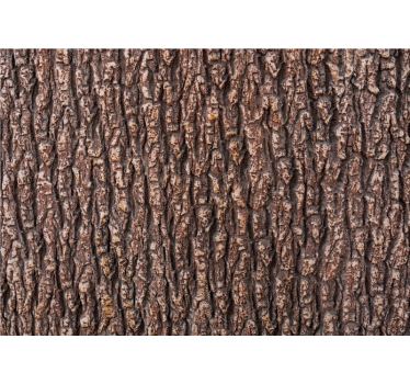Wood texture of tree bark wood mural - TenStickers