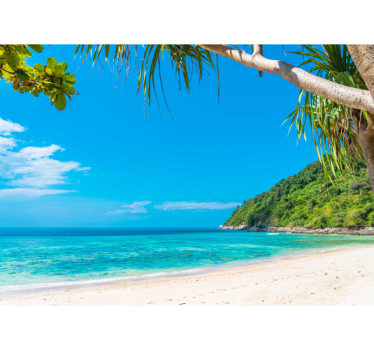 Sights to caribbean sea under the sea wall mural - TenStickers