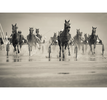 Running group of horses mural wallpaper - TenStickers